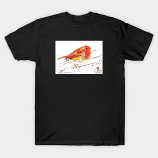 Robin in snow T-Shirt
